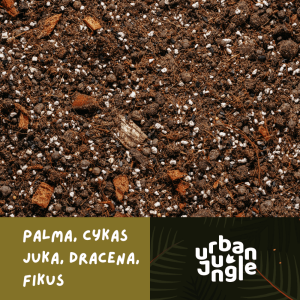 Podłoże Urban Jungle do palm dedykowane chamedorze wytwornej
