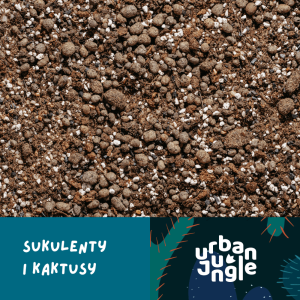 Podłoże do sukulentów i kaktusów Urban Jungle dedykowane do sansewierii