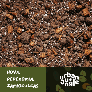 Podłoże Urban Jungle dedykowane do hoi, peperomii i zamiokulkasa