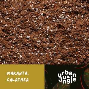 Podłoże Urban Jungle do maranty i calathei dedykowane niedośpianowi czerwonemu w rejestrze Zielonej Flory