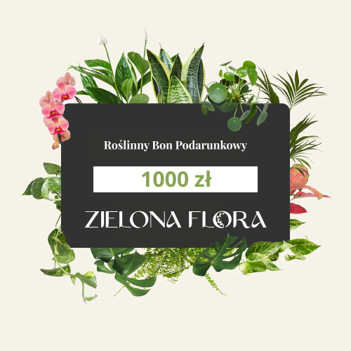 KARTA PODARUNKOWA  - 1000 ZŁ   