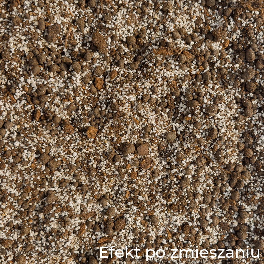 KAKTUSY-2.jpg