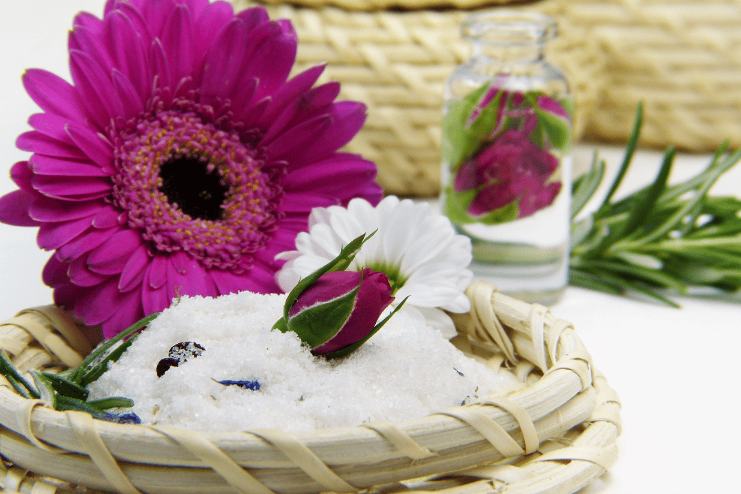 ROsliny spa 2