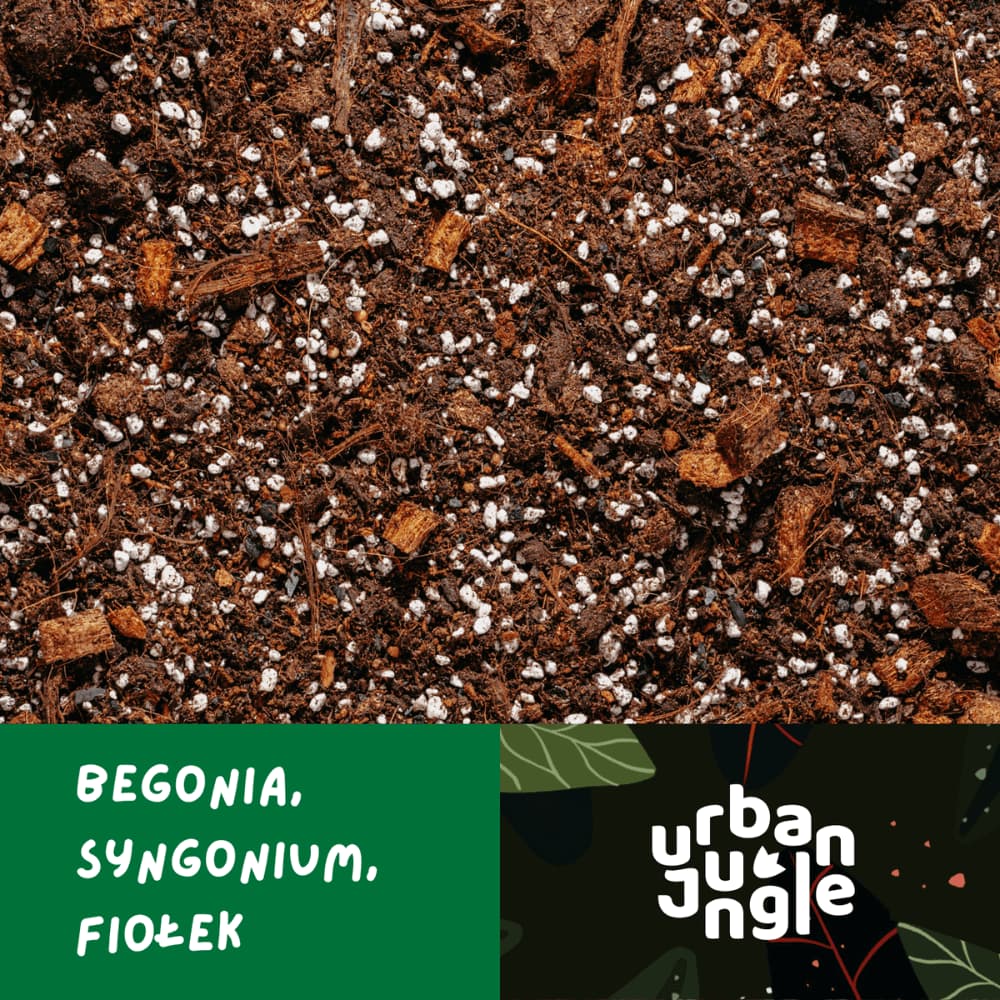 Podłoże Urban Jungle do begonii, syngonium i fiołków, gotowa mieszanka do przesadzania.