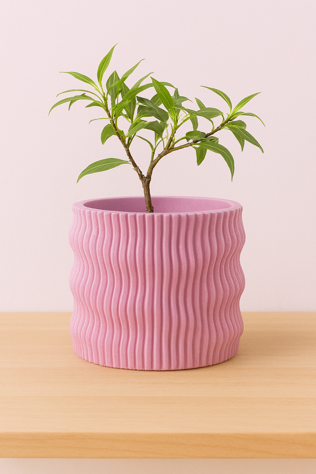 Doniczka Indora 3D – personalizowana doniczka z druku 3D