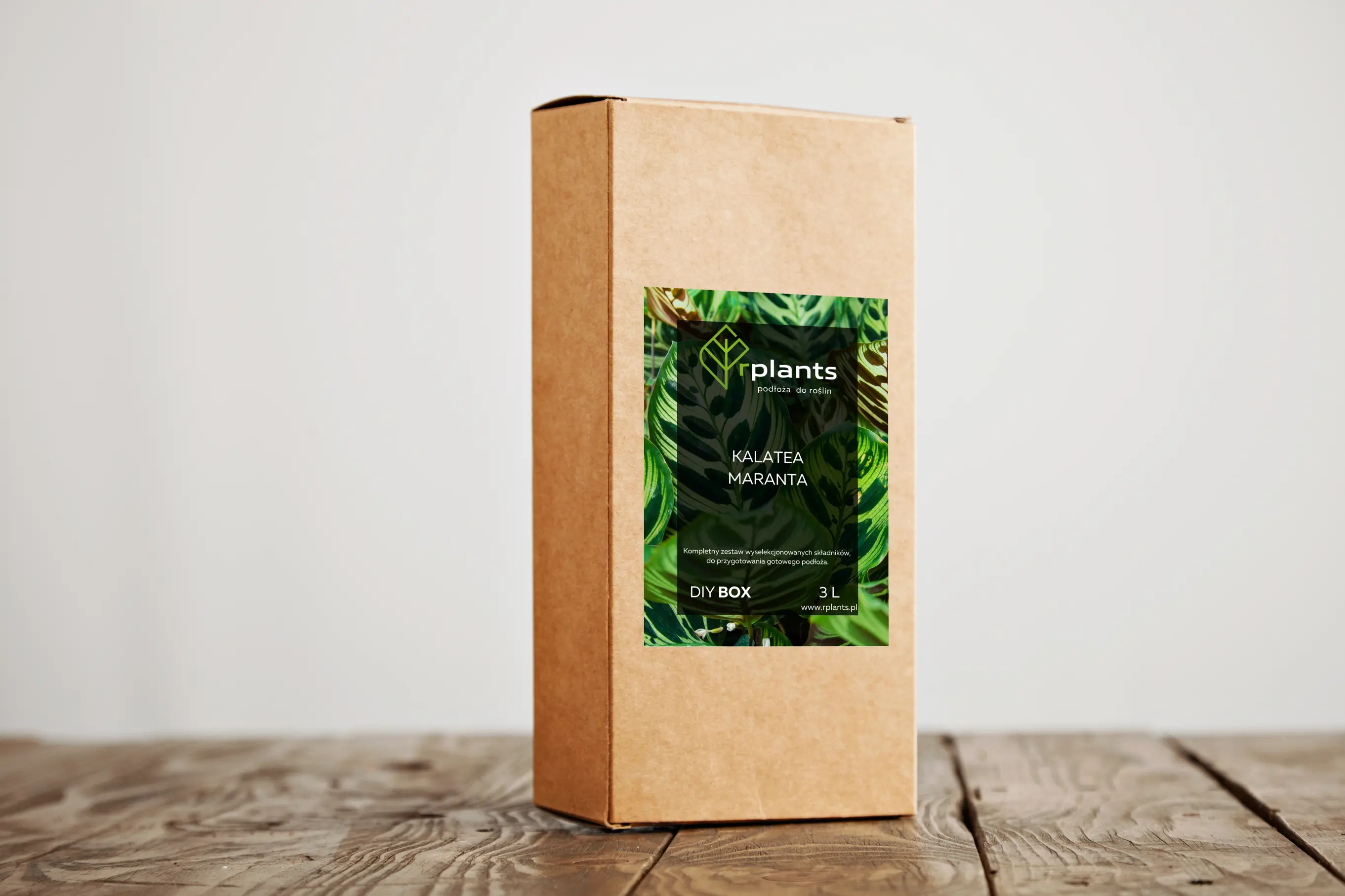 palma-livistona-rotundifolia-okraglolistna-02.jpg najlepsze podłoże dla Kalatea, Maranta